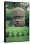 Colossal Head-Olmec-Framed Stretched Canvas