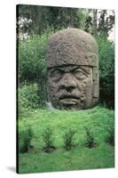 Colossal Head-Olmec-Stretched Canvas