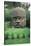 Colossal Head-Olmec-Stretched Canvas