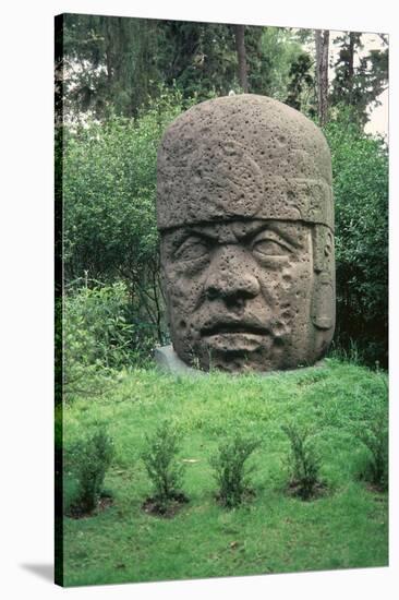 Colossal Head-Olmec-Stretched Canvas