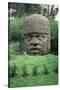 Colossal Head-Olmec-Stretched Canvas