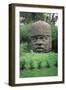 Colossal Head-Olmec-Framed Giclee Print