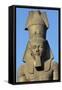 Colossal Statue of Ramesses II, Cairo, Egypt-null-Framed Stretched Canvas