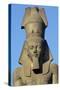 Colossal Statue of Ramesses II, Cairo, Egypt-null-Stretched Canvas