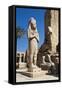 Colossal Statue of Ramses II and His Wife Nefertari-null-Framed Stretched Canvas