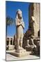 Colossal Statue of Ramses II and His Wife Nefertari-null-Mounted Photographic Print