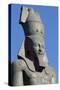 Colossal Statue of Ramses II, Cairo, Detail-null-Stretched Canvas