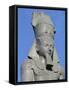 Colossal Statue of Ramses II, Cairo-null-Framed Stretched Canvas