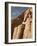 Colossal Statue of Ramses II Sits at the Entrance to the Great Temple of Abu Simbel, Egypt-Mcconnell Andrew-Framed Photographic Print