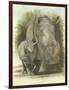 Colossal-Barbara Keith-Framed Giclee Print