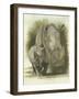 Colossal-Barbara Keith-Framed Giclee Print