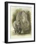 Colossal-Barbara Keith-Framed Giclee Print