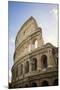 Colosseum Amphitheater, Rome, Italy-null-Mounted Photographic Print