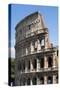 Colosseum, Ancient Roman Forum, Rome, Lazio, Italy-James Emmerson-Stretched Canvas