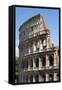 Colosseum, Ancient Roman Forum, Rome, Lazio, Italy-James Emmerson-Framed Stretched Canvas