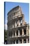 Colosseum, Ancient Roman Forum, Rome, Lazio, Italy-James Emmerson-Stretched Canvas