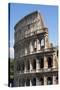 Colosseum, Ancient Roman Forum, Rome, Lazio, Italy-James Emmerson-Stretched Canvas