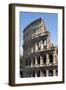 Colosseum, Ancient Roman Forum, Rome, Lazio, Italy-James Emmerson-Framed Photographic Print