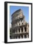 Colosseum, Ancient Roman Forum, Rome, Lazio, Italy-James Emmerson-Framed Photographic Print