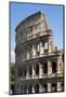 Colosseum, Ancient Roman Forum, Rome, Lazio, Italy-James Emmerson-Mounted Photographic Print