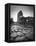 Colosseum and Via Sacra, Rome, Italy-Michele Falzone-Framed Stretched Canvas