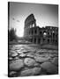 Colosseum and Via Sacra, Rome, Italy-Michele Falzone-Stretched Canvas