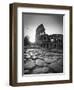 Colosseum and Via Sacra, Rome, Italy-Michele Falzone-Framed Premium Photographic Print