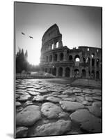 Colosseum and Via Sacra, Rome, Italy-Michele Falzone-Mounted Photographic Print