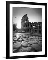 Colosseum and Via Sacra, Rome, Italy-Michele Falzone-Framed Photographic Print