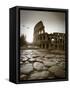 Colosseum and Via Sacra, Rome, Italy-Michele Falzone-Framed Stretched Canvas