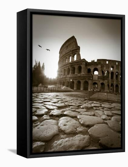 Colosseum and Via Sacra, Rome, Italy-Michele Falzone-Framed Stretched Canvas