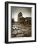 Colosseum and Via Sacra, Rome, Italy-Michele Falzone-Framed Premium Photographic Print