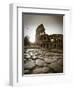 Colosseum and Via Sacra, Rome, Italy-Michele Falzone-Framed Premium Photographic Print