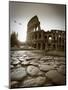 Colosseum and Via Sacra, Rome, Italy-Michele Falzone-Mounted Premium Photographic Print