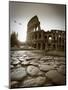 Colosseum and Via Sacra, Rome, Italy-Michele Falzone-Mounted Photographic Print