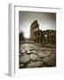 Colosseum and Via Sacra, Rome, Italy-Michele Falzone-Framed Photographic Print