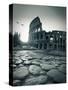 Colosseum and Via Sacra, Rome, Italy-Michele Falzone-Stretched Canvas