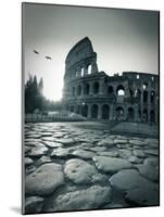 Colosseum and Via Sacra, Rome, Italy-Michele Falzone-Mounted Photographic Print