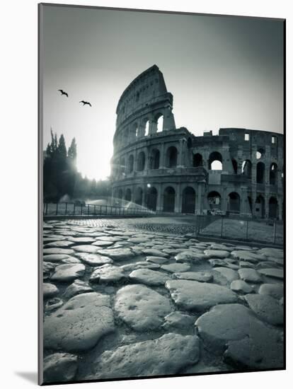Colosseum and Via Sacra, Rome, Italy-Michele Falzone-Mounted Photographic Print