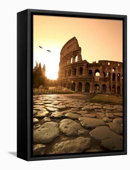Colosseum and Via Sacra, Sunrise, Rome, Italy-Michele Falzone-Framed Stretched Canvas
