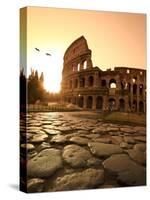 Colosseum and Via Sacra, Sunrise, Rome, Italy-Michele Falzone-Stretched Canvas