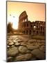 Colosseum and Via Sacra, Sunrise, Rome, Italy-Michele Falzone-Mounted Premium Photographic Print