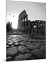 Colosseum and Via Sacra, Sunrise, Rome, Italy-Michele Falzone-Mounted Photographic Print