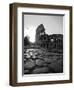 Colosseum and Via Sacra, Sunrise, Rome, Italy-Michele Falzone-Framed Photographic Print