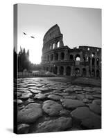 Colosseum and Via Sacra, Sunrise, Rome, Italy-Michele Falzone-Stretched Canvas