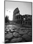 Colosseum and Via Sacra, Sunrise, Rome, Italy-Michele Falzone-Mounted Premium Photographic Print