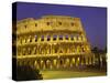 Colosseum at Night, Rome, Italy-Roy Rainford-Stretched Canvas