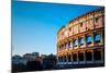 Colosseum in Rome in Rome, ITALY-ilolab-Mounted Photographic Print