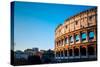 Colosseum in Rome in Rome, ITALY-ilolab-Stretched Canvas