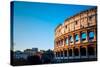 Colosseum in Rome in Rome, ITALY-ilolab-Stretched Canvas